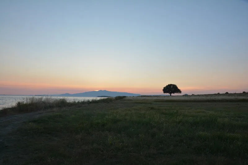 Gryneion (Gryne) — the Oracle of Apollo near Aliağa, İzmir