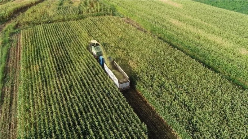 Були встановлені основні принципи щодо охорони та використання сільськогосподарських угідь