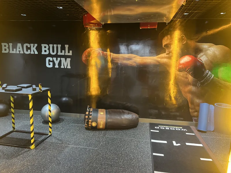 Black Bull Pro GYM — Gymnastique à Alanya: Commande en ligne, prix et avis