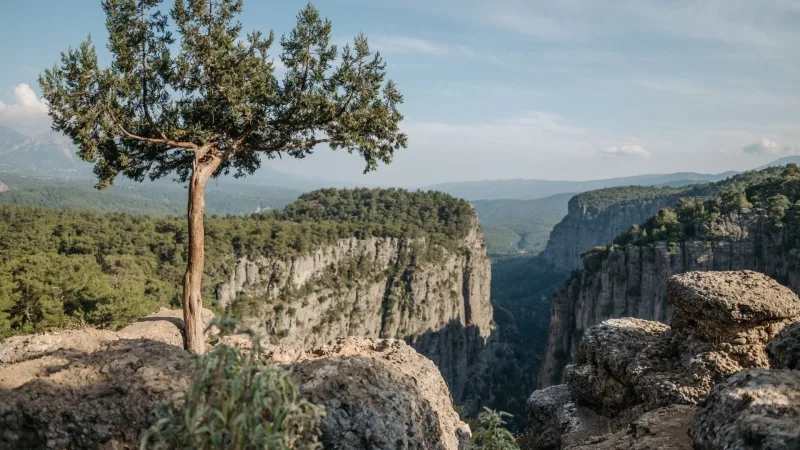 İkisi Bir Arada: Pitoresk Tazy Kanyonu ve Eğlenceli Rafting
